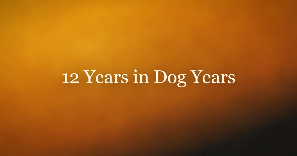 12 Years in Dog Years: Caring for a Senior Dog