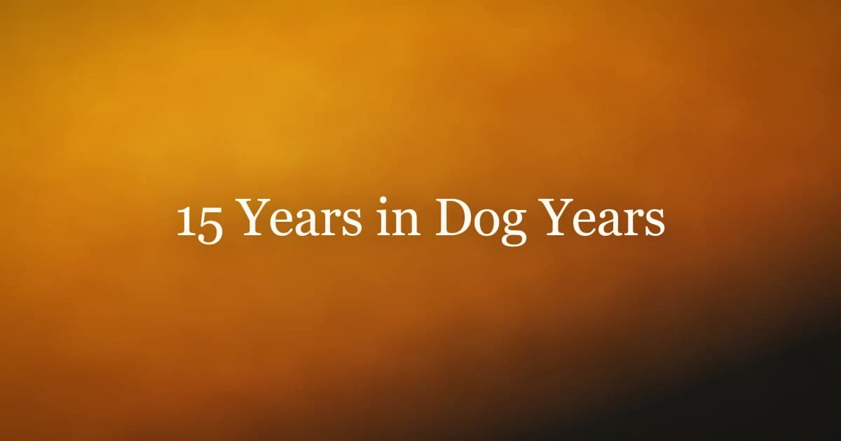 15 Years in Dog Years: The Real Number