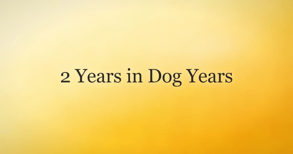 2 Years in Dog Years: How Old Is Your Dog Really?