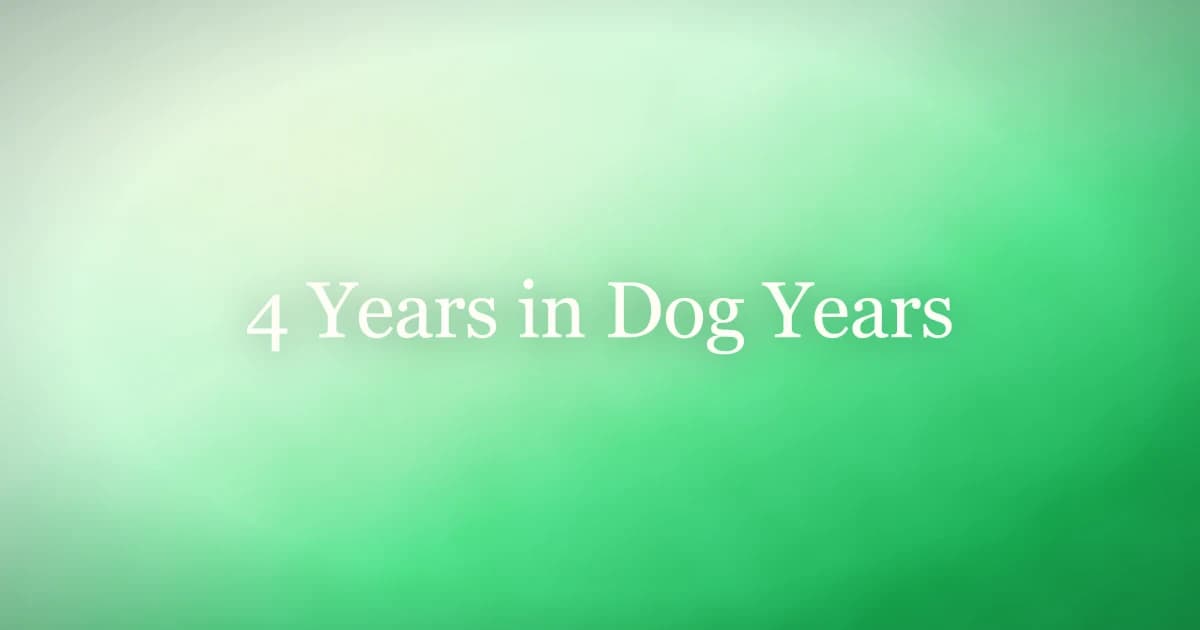 4 Years in Dog Years: Your Dog in Their Prime