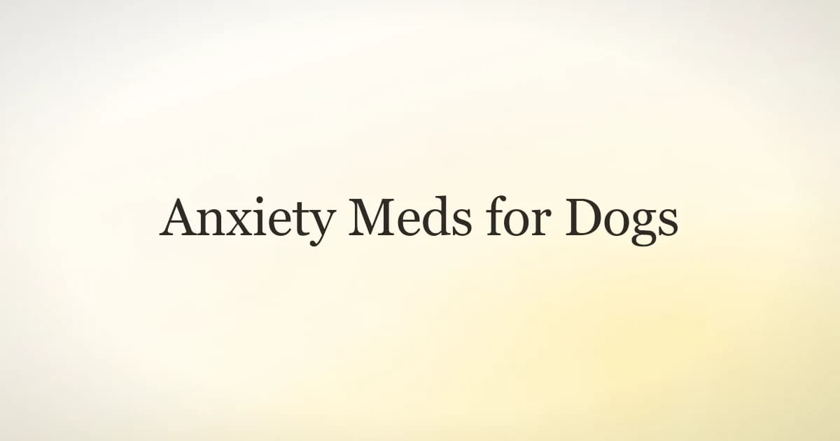 An anxious dog being comforted by its owner at home