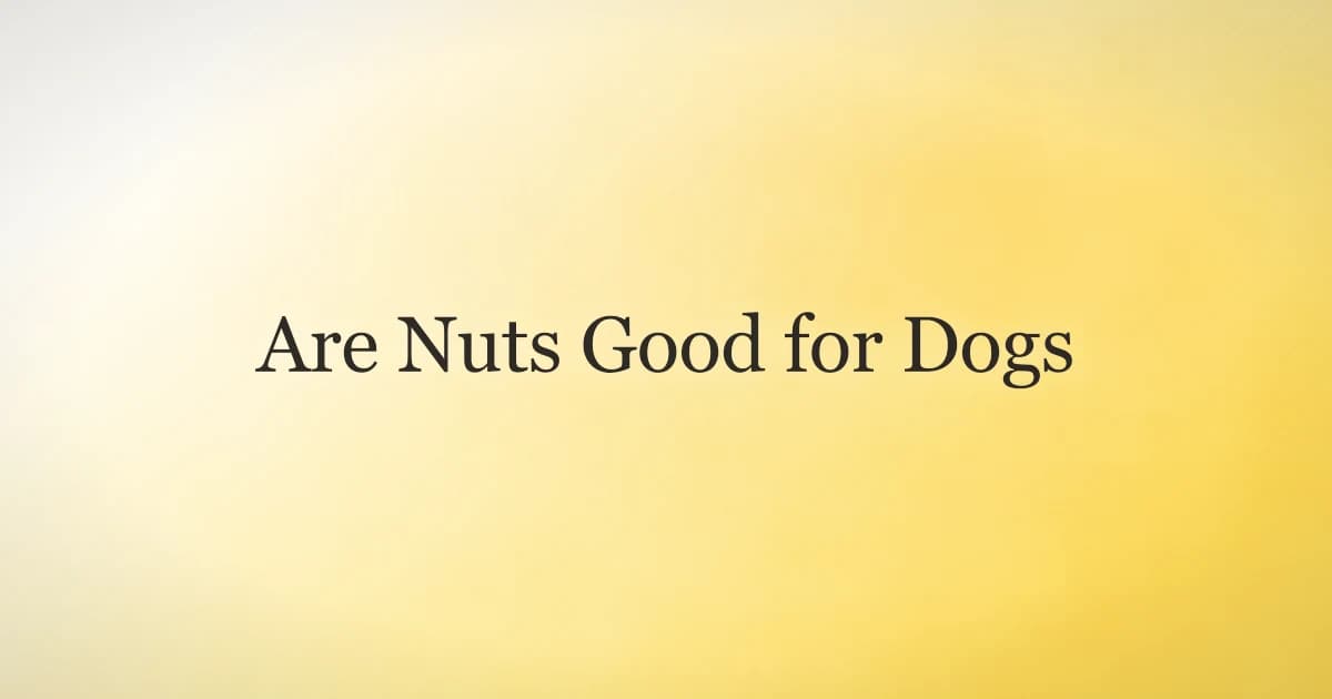 Are Nuts Good for Dogs? What Vets Say