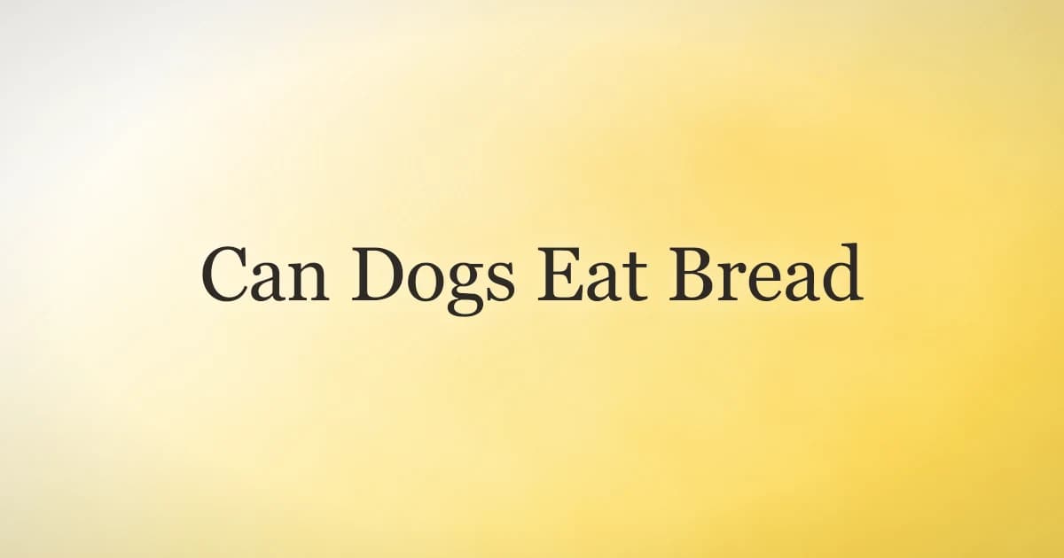 Can Dogs Eat Bread? What Vets Say