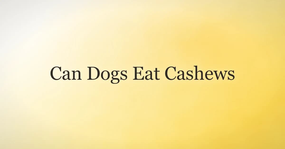 Golden retriever sitting beside a small bowl of plain cashews on a wooden table