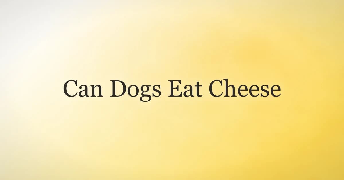 Can Dogs Eat Cheese? A Vet-Backed Guide