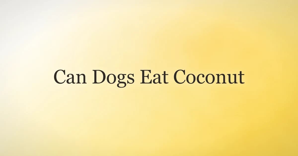 Golden retriever sniffing a fresh halved coconut on a sunny wooden table