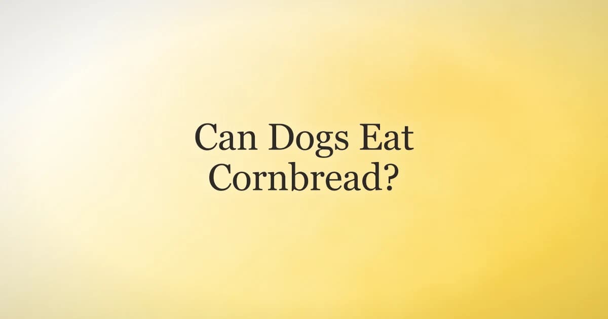 A slice of cornbread on a plate with a dog looking on hopefully