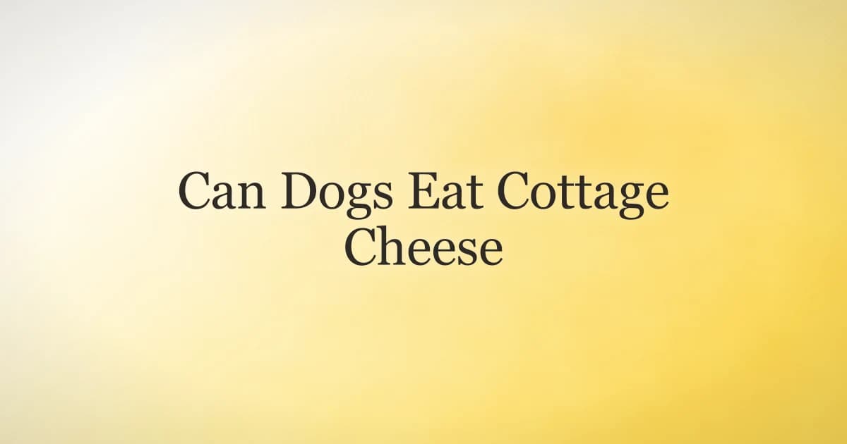 Golden retriever sitting beside a small bowl of plain cottage cheese on a sunlit kitchen floor