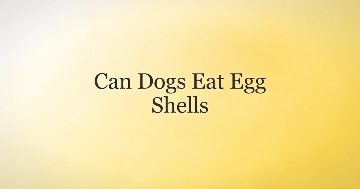 A dog sitting next to a bowl of eggs on a kitchen counter