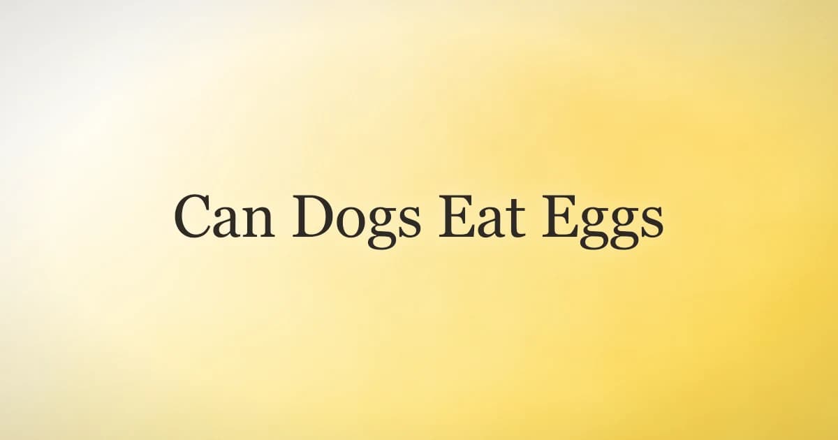 Cooked scrambled eggs in a bowl next to a happy dog