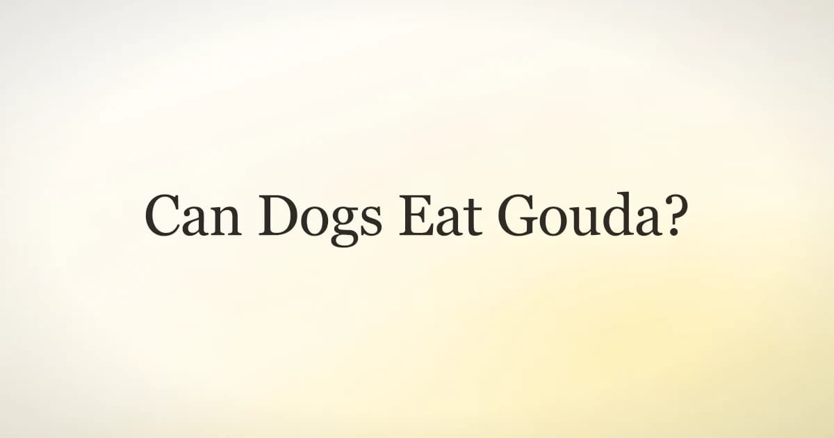 Wedges of gouda cheese on a wooden board with a dog looking on