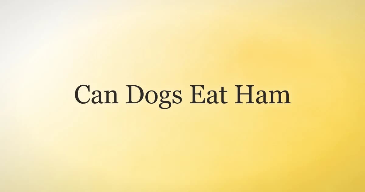Can Dogs Eat Ham? Why Vets Say Skip It