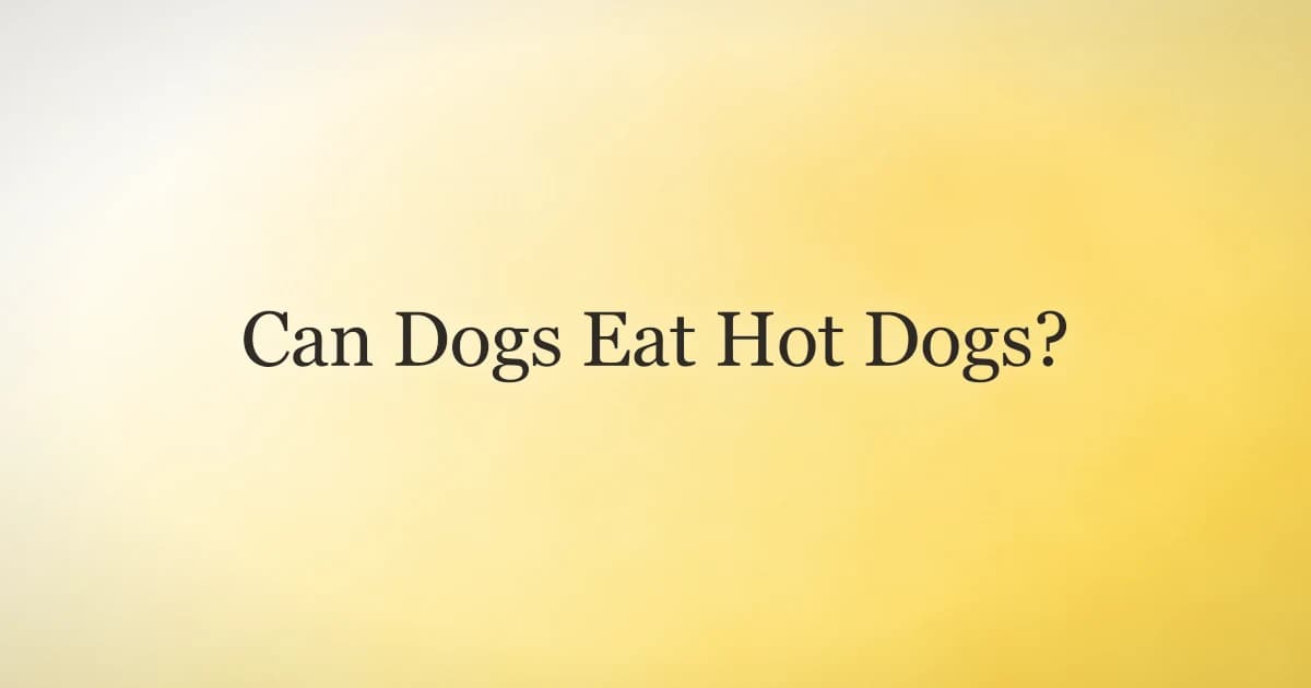 A dog eyeing a plain hot dog at a backyard cookout