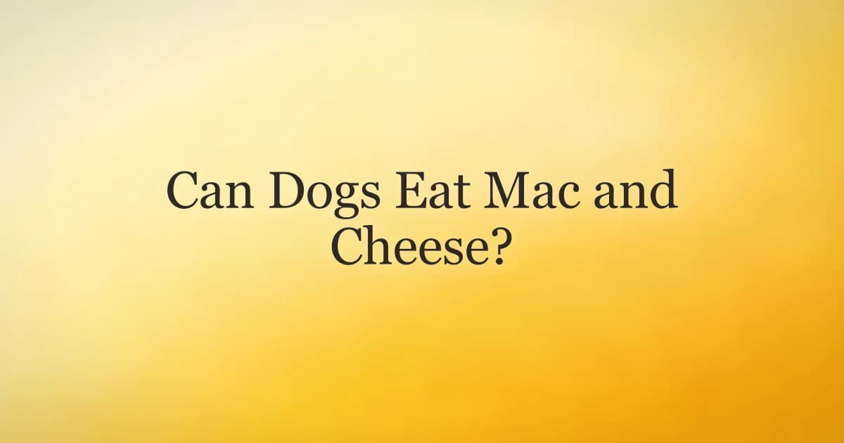 Bowl of mac and cheese with a dog looking up hopefully