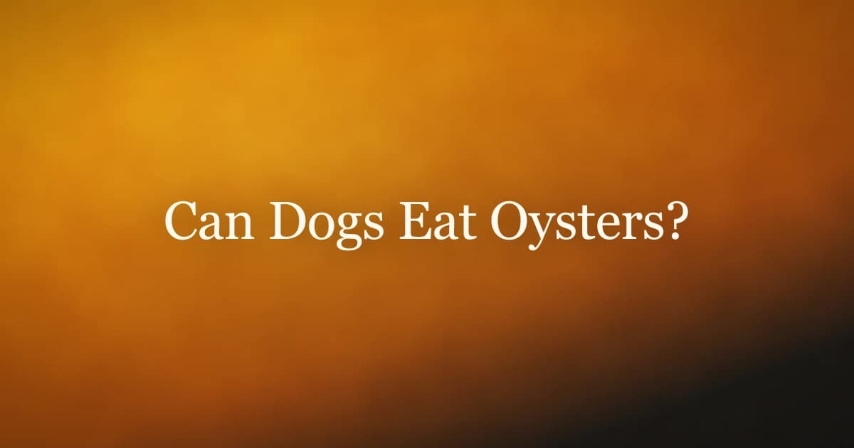 A dog looking curiously at a plate of cooked oysters on the half shell