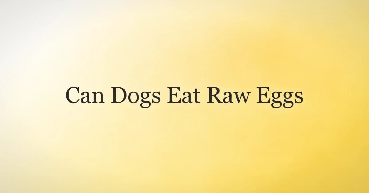A happy golden retriever sitting beside a bowl of fresh eggs in a sunny kitchen