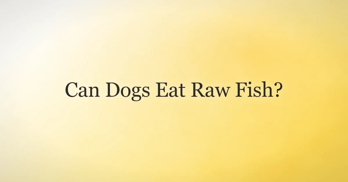 Can Dogs Eat Raw Fish? The Real Risks