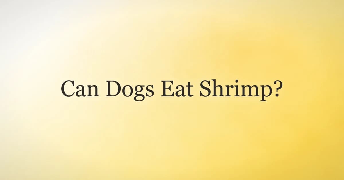 Can Dogs Eat Shrimp? The Safe Way to Serve It