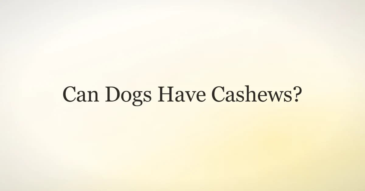 A small bowl of plain cashews on a table with a dog looking on