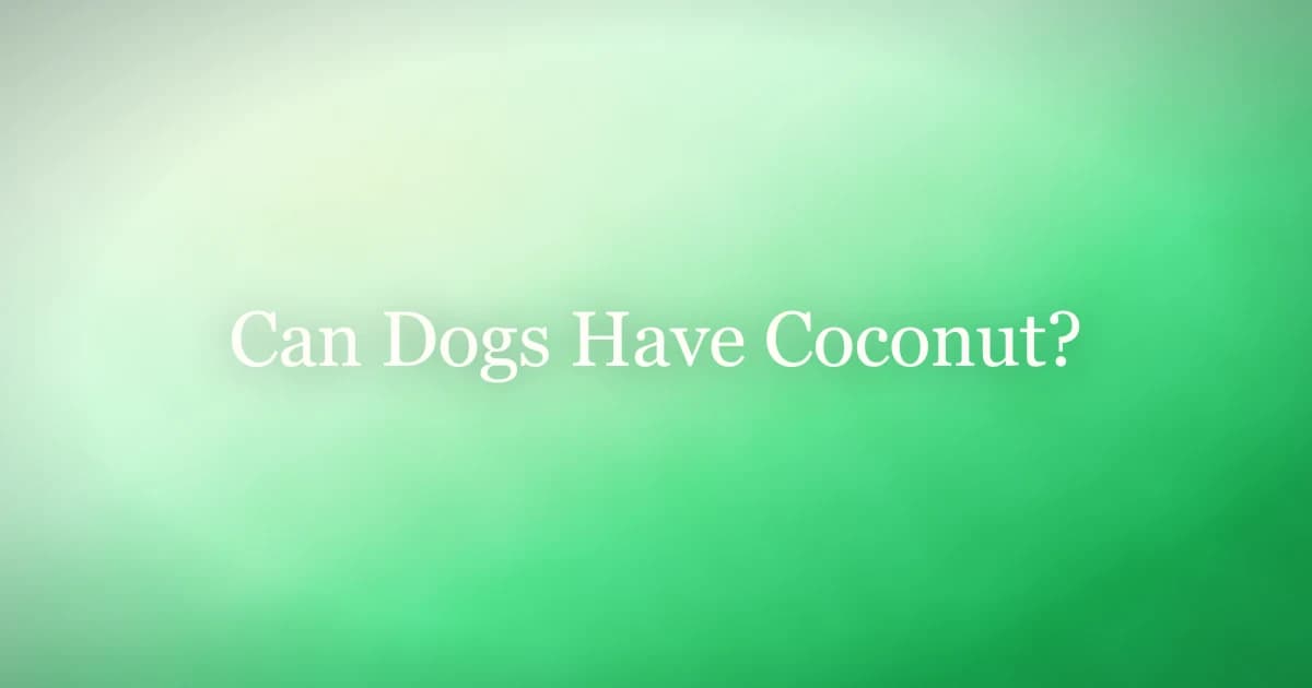 A fresh halved coconut on a wooden table with a dog looking on
