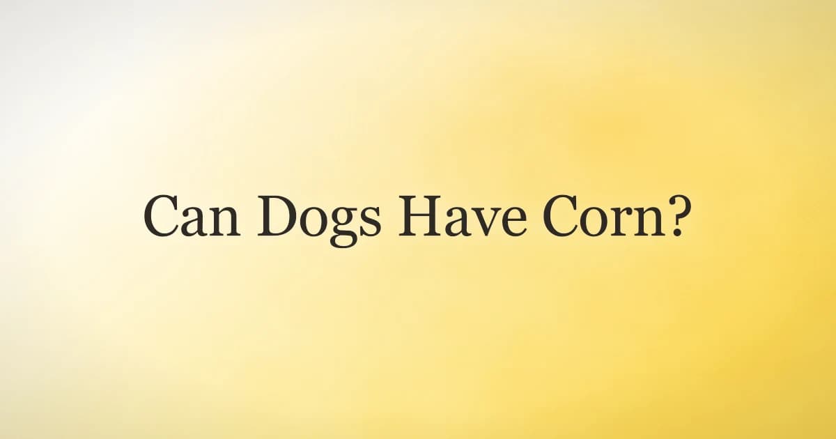 Golden retriever next to a bowl of plain cooked corn kernels