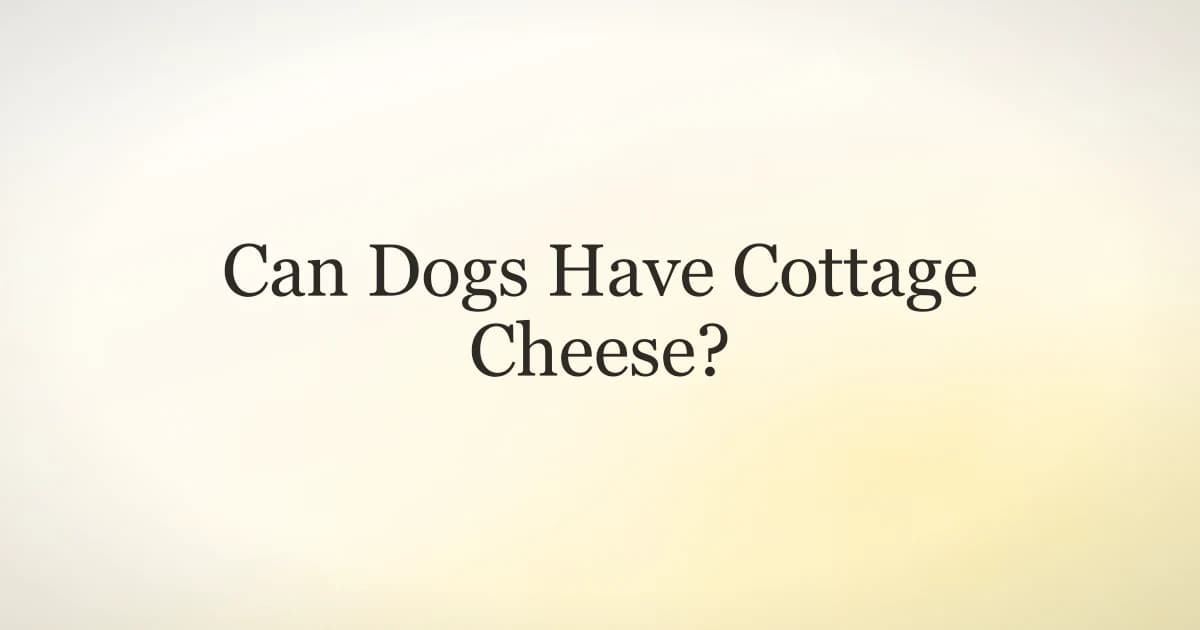 A small bowl of plain cottage cheese beside a dog waiting on a kitchen floor