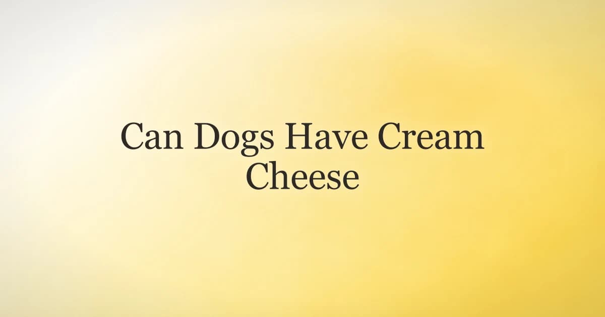 A dog watching a bagel being spread with cream cheese on a kitchen counter