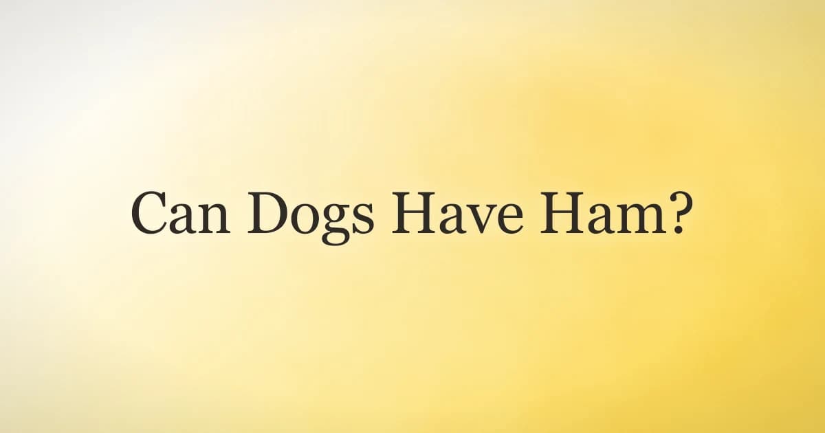 Golden retriever looking up at a slice of ham on a kitchen counter