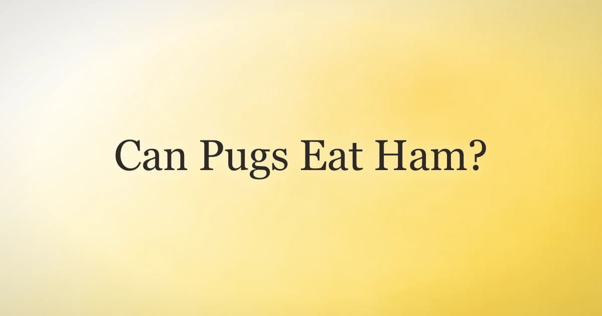 Can Pugs Eat Ham? Risks, Portions, and Safety