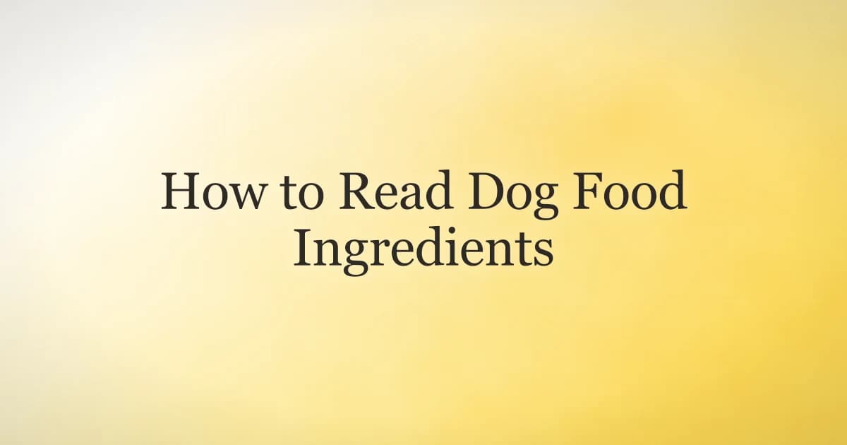 A dog food label ingredient panel being read next to a bowl of kibble