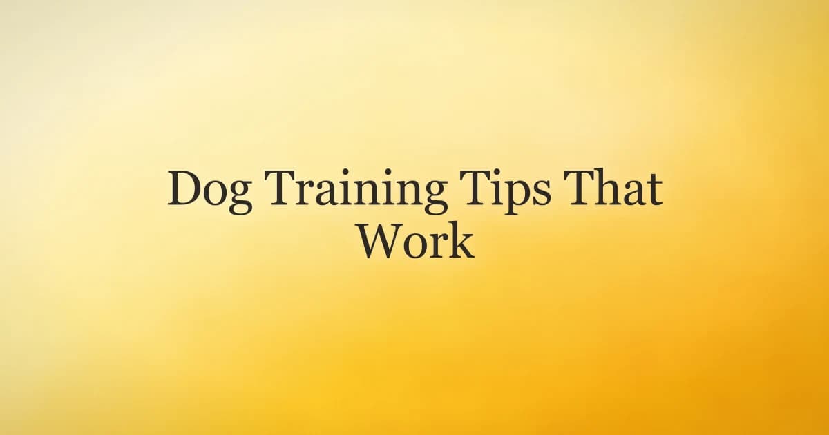 A person training a dog with a treat, the dog sitting attentively and making eye contact