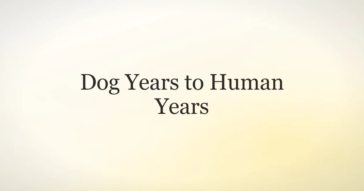Dog Years to Human Years: The Real Math