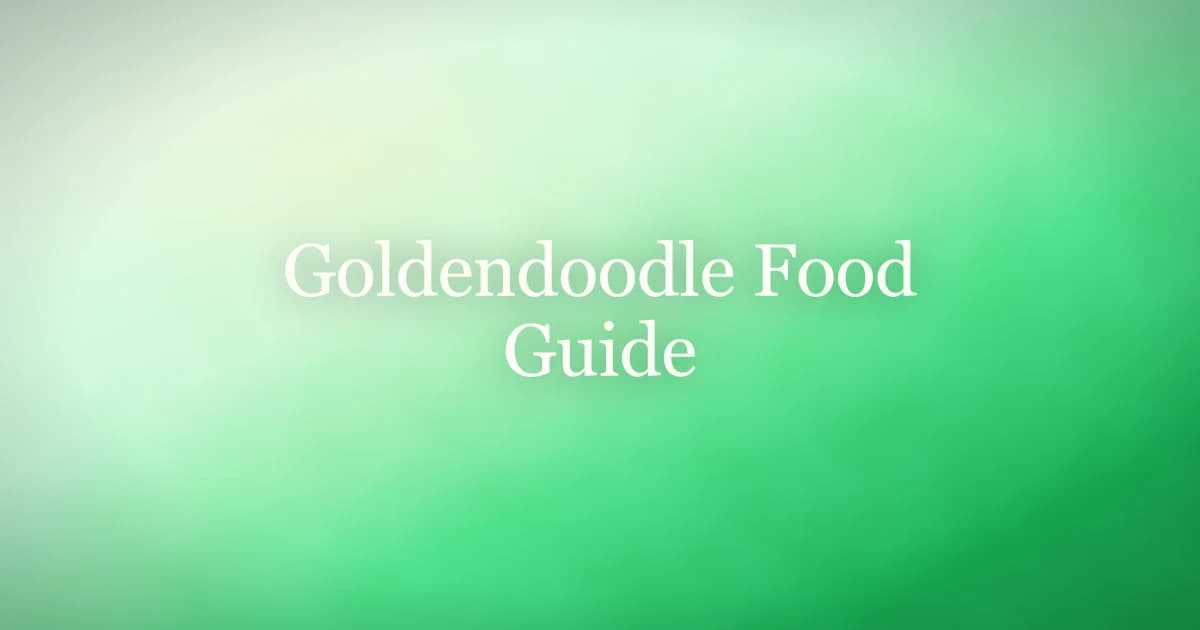 Happy Goldendoodle sitting beside a bowl of food