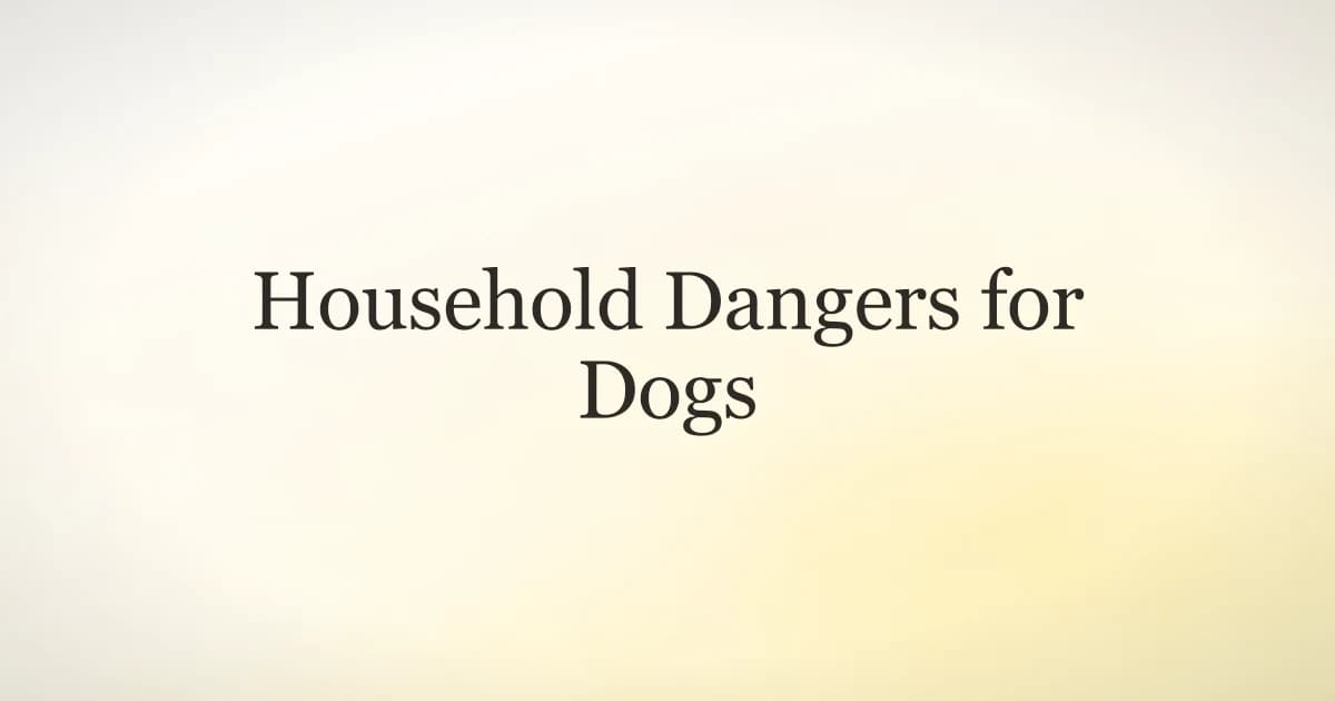 A curious dog sniffing around a kitchen counter where household items are within reach