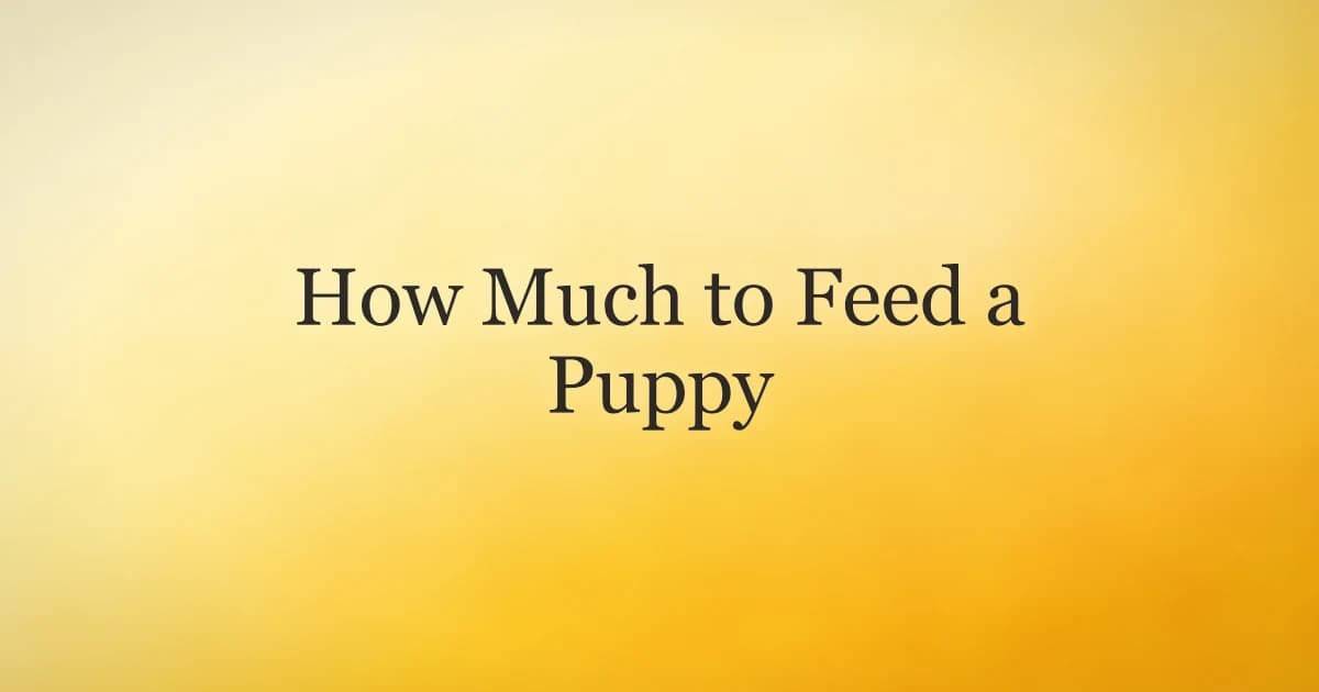 Puppy sitting next to a measuring cup and a bowl of kibble