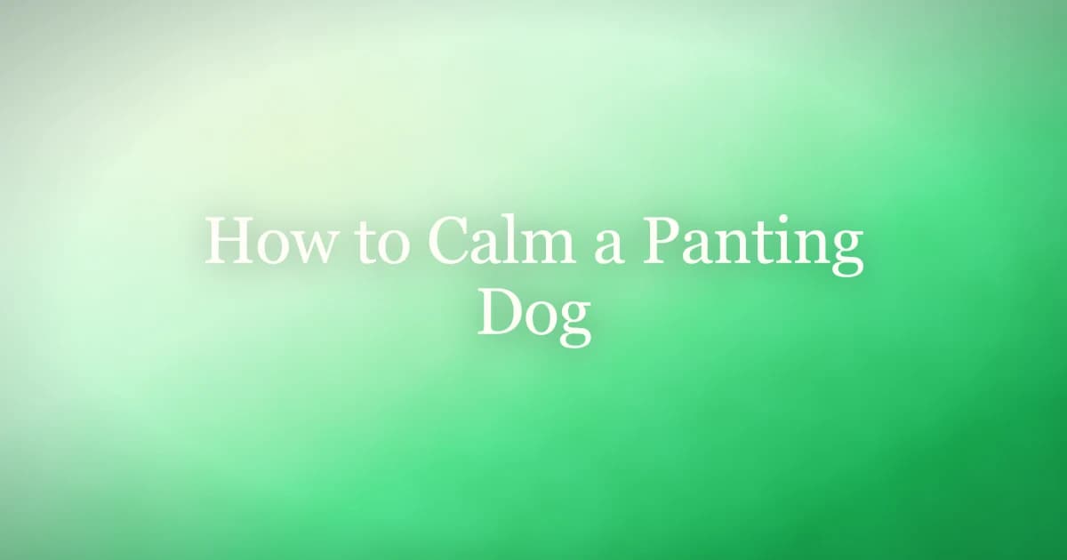 A dog resting on a cool floor near a fan while its owner gently strokes it to calm heavy panting