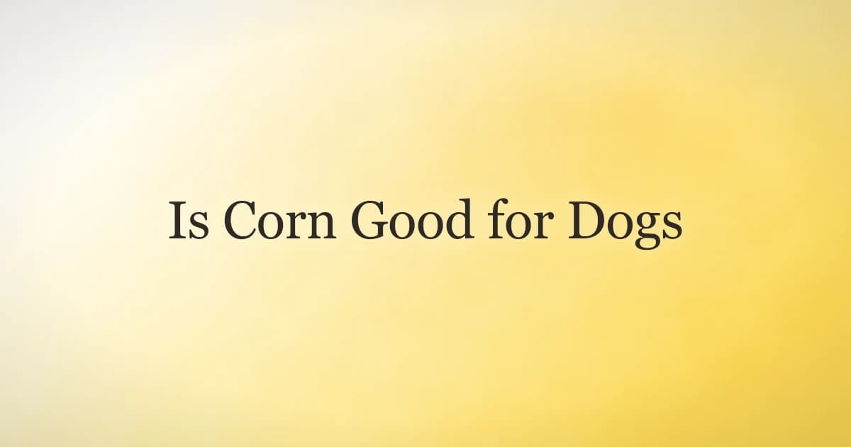 Fresh corn kernels cut off the cob in a bowl with a dog nearby