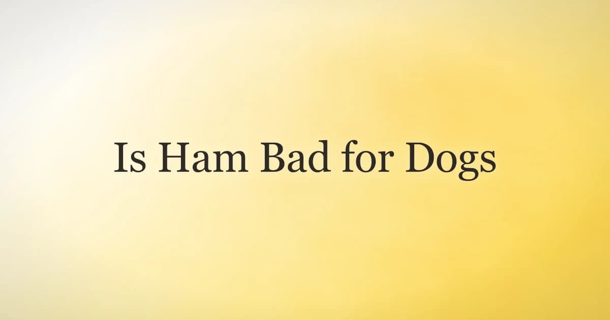 Is Ham Bad for Dogs? The Honest Answer