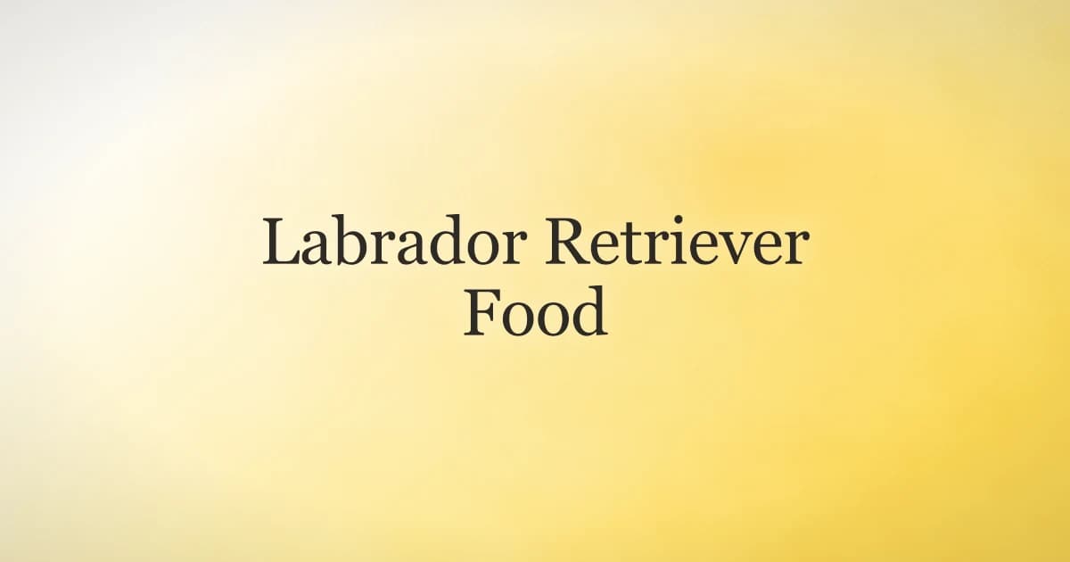 Labrador Retriever Food: What to Feed and How Much