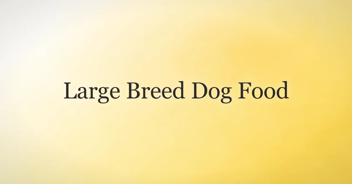 Large Breed Dog Food: What to Look For