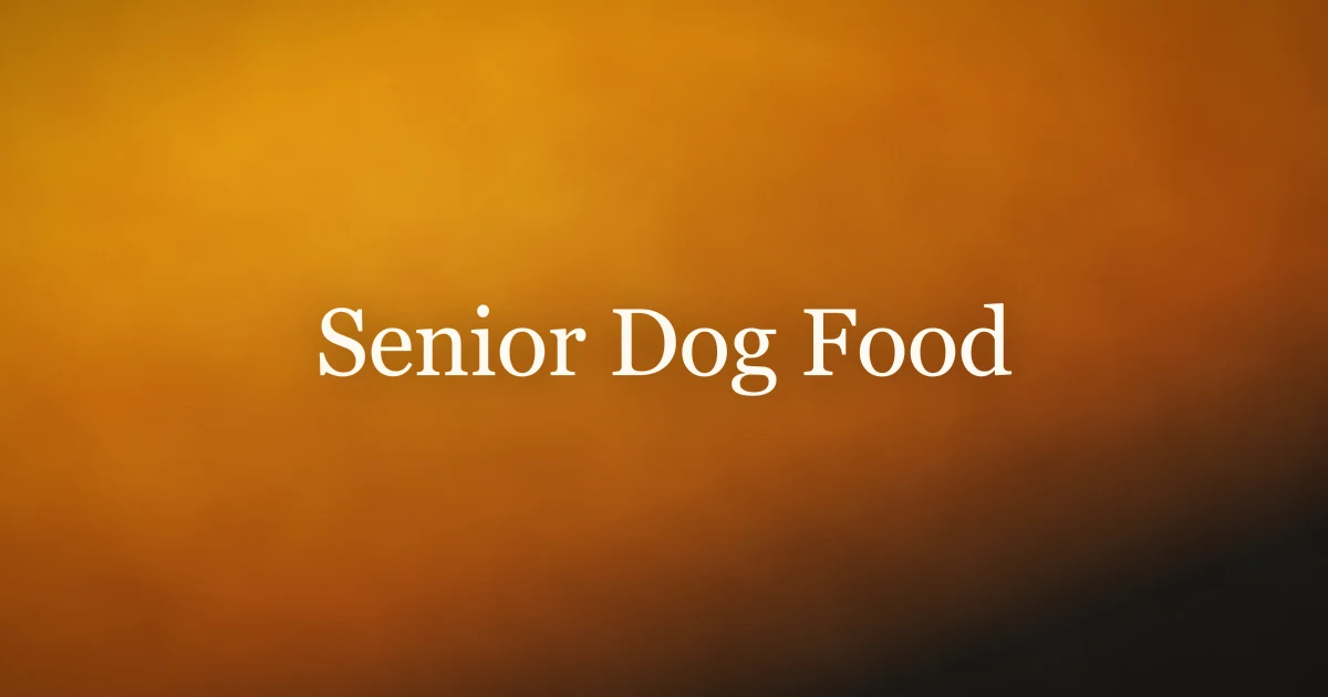 Senior Dog Food: A Practical Vet-Informed Guide