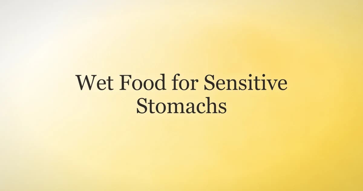 Wet dog food for a sensitive stomach — how to read the label and switch foods gently