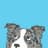 DearPup