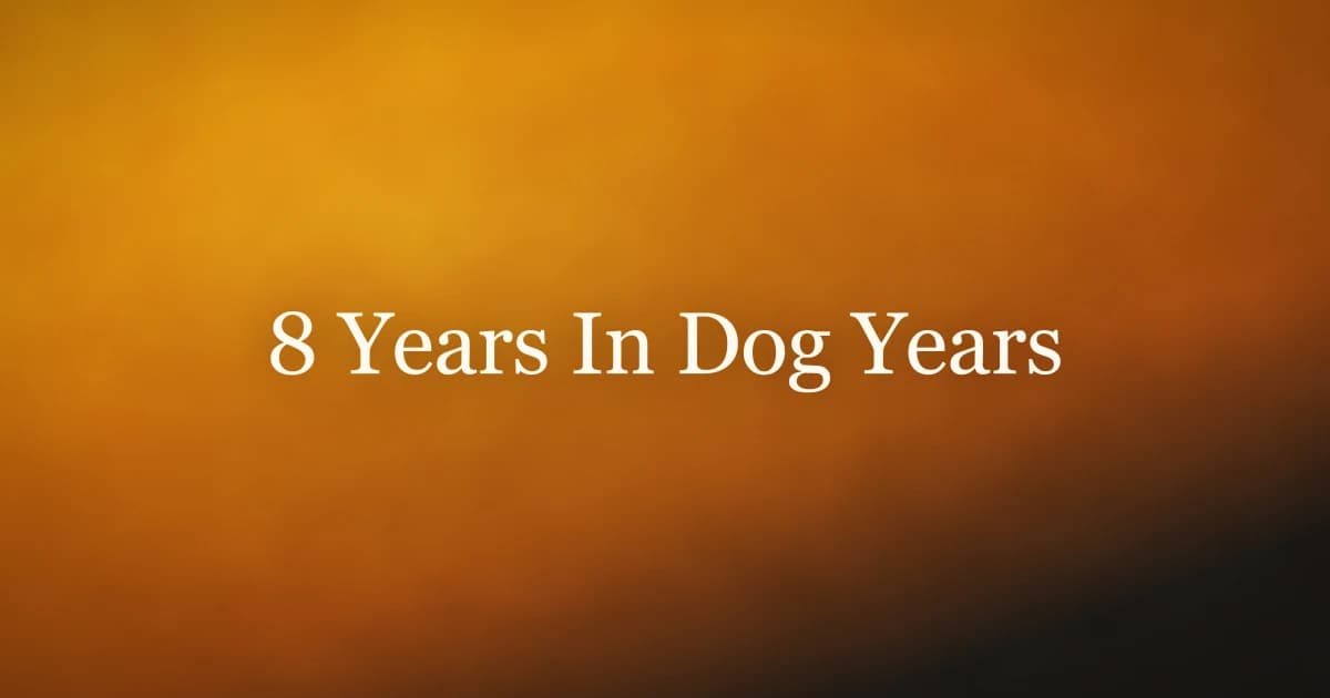 An eight-year-old dog with a lightly greying muzzle sitting in a sunny backyard