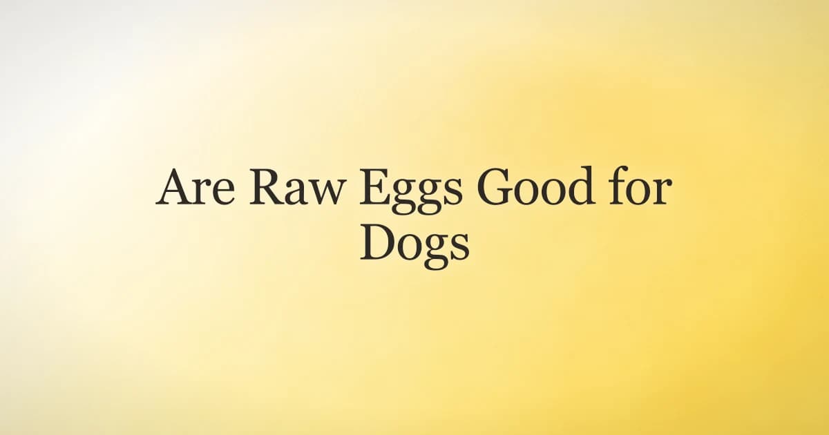 A raw egg cracked into a bowl on a kitchen counter with a dog nearby