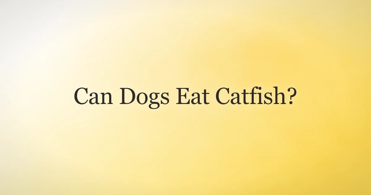 A plain cooked catfish fillet on a plate next to a dog bowl, illustrating safe catfish portions for dogs