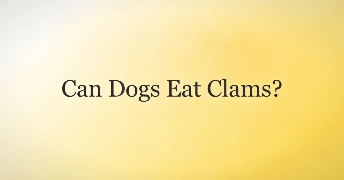 Fresh clams in a bowl beside a curious dog, illustrating whether dogs can safely eat clams