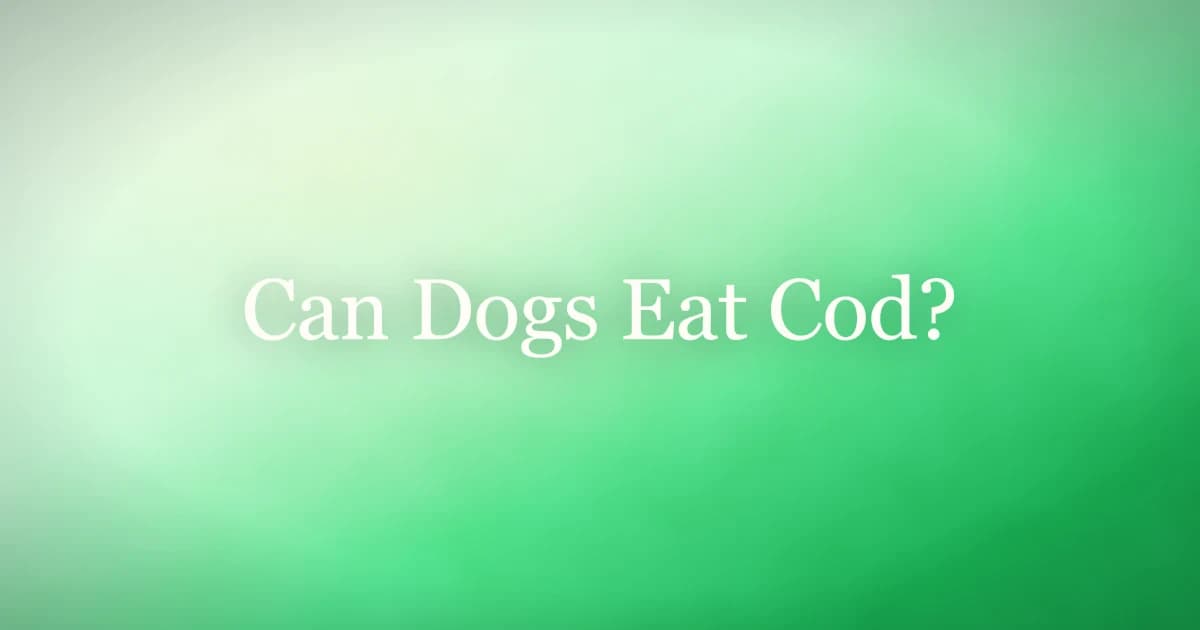 A plain cooked cod fillet on a plate beside a dog bowl, illustrating safe cod portions for dogs
