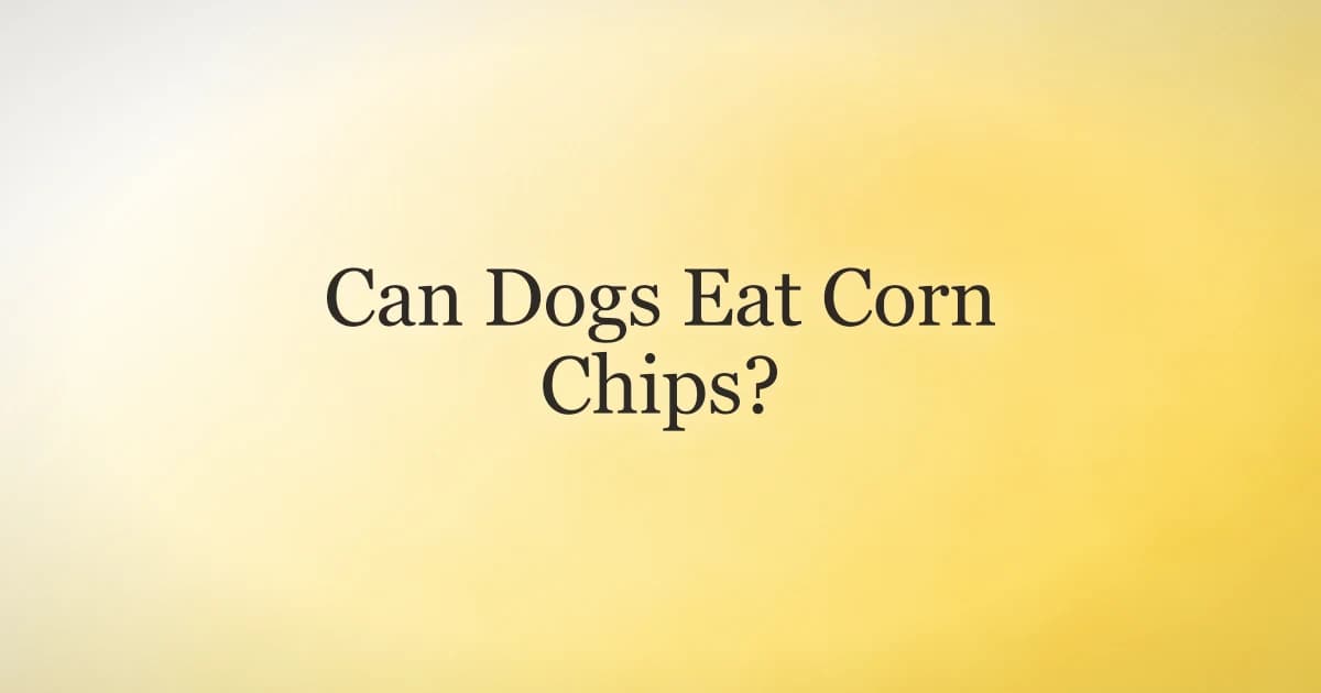 Can dogs eat corn chips - a dog looking at a bowl of tortilla chips
