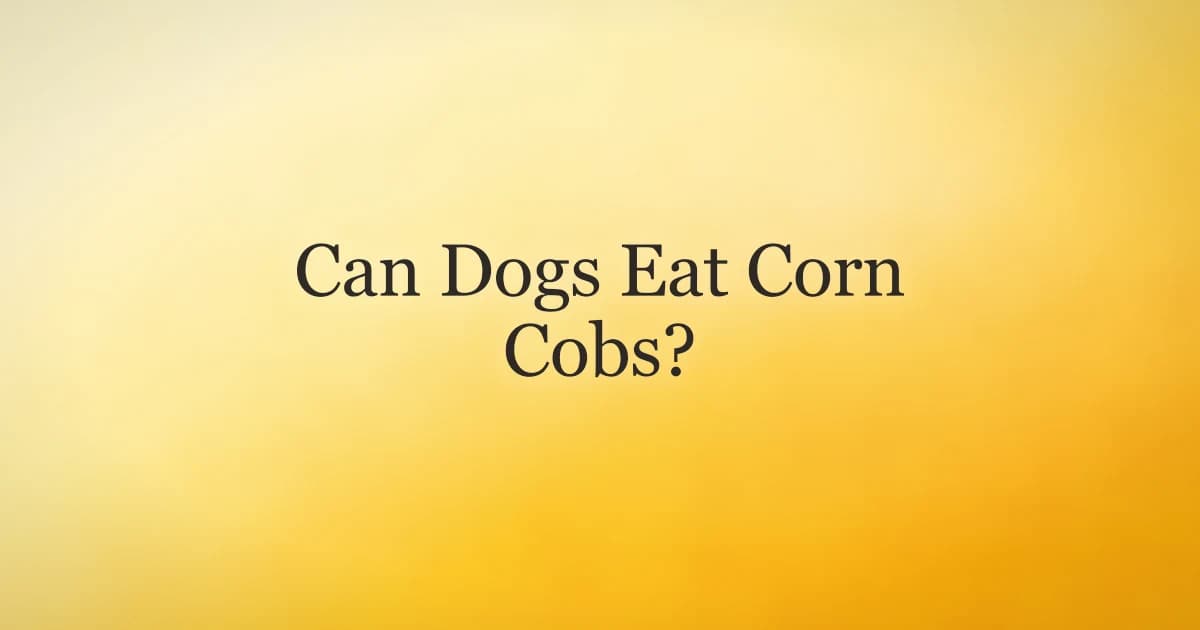 A dog looking at a corn cob on a picnic table at a summer barbecue